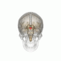 Thumbnail for version as of 03:18, 5 June 2026