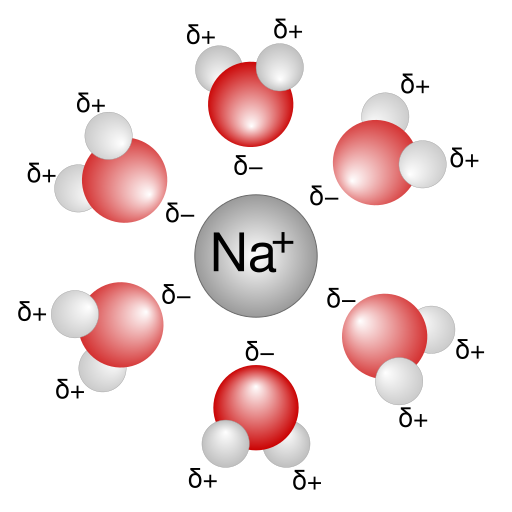 File:Na+H2O.svg
