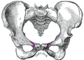 Thumbnail for version as of 13:40, 23 May 2026