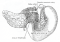 Thumbnail for version as of 17:28, 18 May 2026