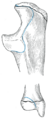 Thumbnail for version as of 17:28, 18 May 2026
