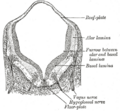 Thumbnail for version as of 17:27, 18 May 2026