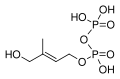 Thumbnail for version as of 14:41, 24 May 2026