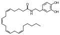 Thumbnail for version as of 12:16, 21 May 2026