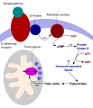 Thumbnail for version as of 15:54, 29 May 2026