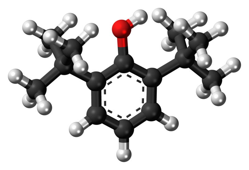 File:2,6-Di-tert-butylphenol 3D ball.png