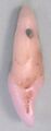 Thumbnail for version as of 13:37, 8 June 2026