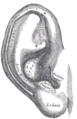 Thumbnail for version as of 17:28, 18 May 2026
