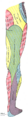 Thumbnail for version as of 17:28, 18 May 2026