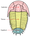 Thumbnail for version as of 22:34, 8 June 2026