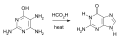 Traube Purine Synthesis