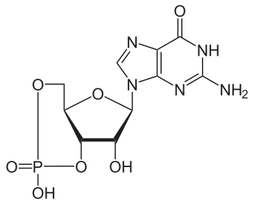 File:CGMP.svg