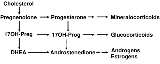 File:DHEA1.svg