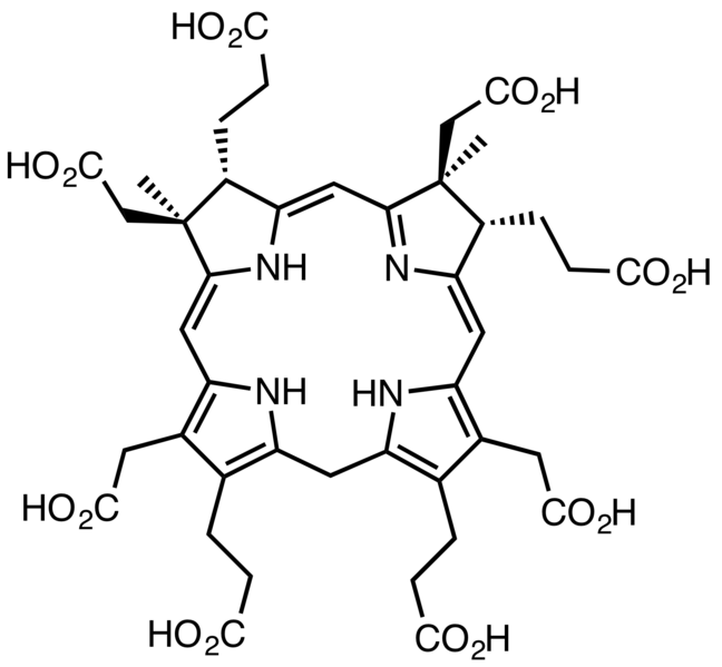 File:Dihydrosirochlorin.png