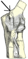 Thumbnail for version as of 12:50, 29 May 2026