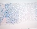 Thumbnail for version as of 03:30, 5 June 2026