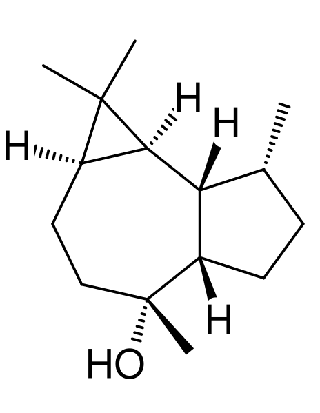 File:Ledol.svg