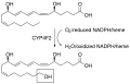 Thumbnail for version as of 09:20, 30 May 2026