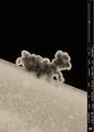 Thumbnail for version as of 22:30, 8 June 2026
