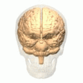 Thumbnail for version as of 19:18, 4 June 2026