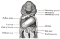 Thumbnail for version as of 17:28, 18 May 2026