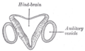 Thumbnail for version as of 17:28, 18 May 2026