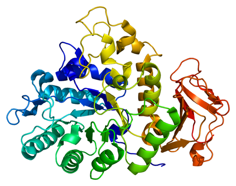 File:Protein SLC3A2 PDB 2dh2.png