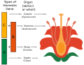Thumbnail for version as of 02:07, 7 June 2026