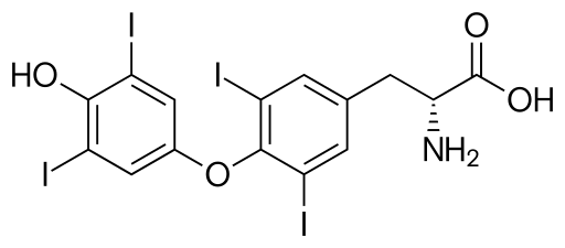 File:Dextrothyroxine skeletal.svg