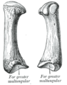 Thumbnail for version as of 17:28, 18 May 2026
