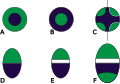 Thumbnail for version as of 22:36, 8 June 2026