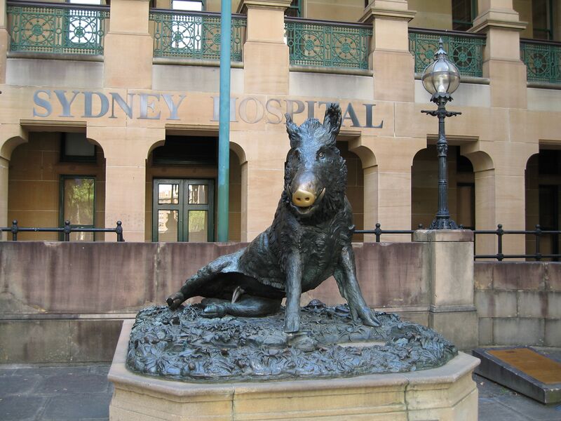 File:SydneyHospital IlPorcellino gobeirne.jpg