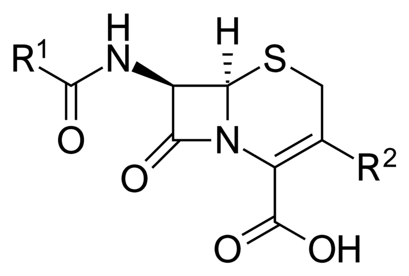 File:3rd gen common structure.png