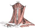Thumbnail for version as of 17:28, 18 May 2026