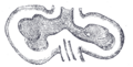 Thumbnail for version as of 17:28, 18 May 2026