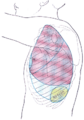 Thumbnail for version as of 17:27, 18 May 2026