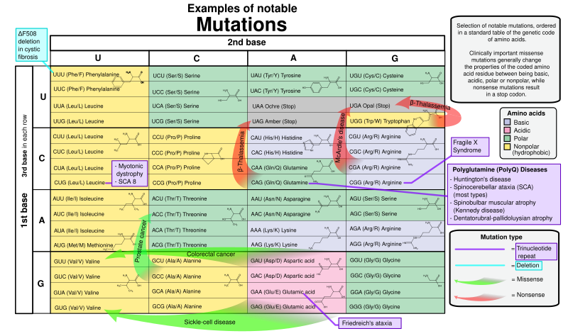 File:Notable mutations.svg