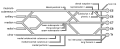 Diagram of the brachial plexus
