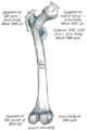 Thumbnail for version as of 17:28, 18 May 2026