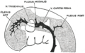 Thumbnail for version as of 17:28, 18 May 2026