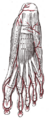 Thumbnail for version as of 17:28, 18 May 2026