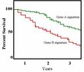 Thumbnail for version as of 03:19, 5 June 2026