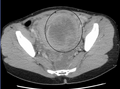 Thumbnail for version as of 02:13, 7 June 2026