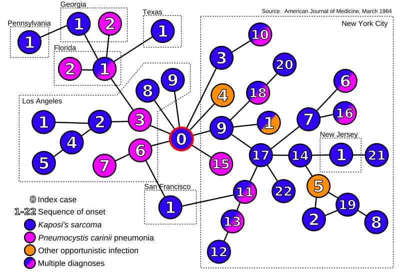 File:AIDS index case graph.svg
