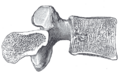 Thumbnail for version as of 17:28, 18 May 2026