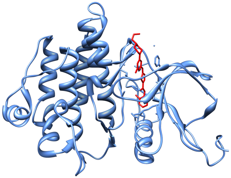 File:2GQG Abl1Kinase Dasatinib.png