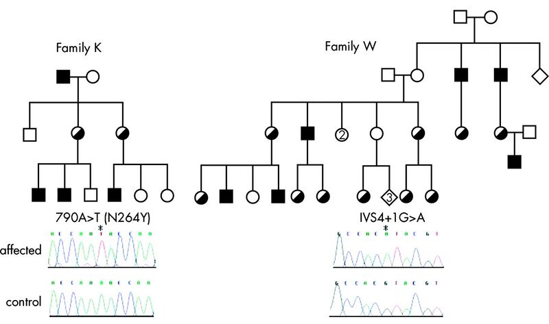 File:F4.large.jpg