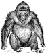 Thumbnail for version as of 02:27, 19 May 2026