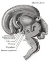 Thumbnail for version as of 17:28, 18 May 2026