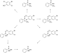 Thumbnail for version as of 14:42, 24 May 2026